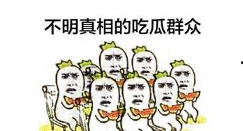 我就是一个吃瓜群众,网络时代的旁观者与参与者