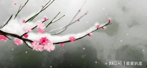 一切自有天意图片