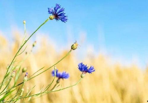 一切自有天意图片  第3张