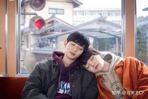 娱乐圈吃瓜小说双男主推荐,甜蜜互动，揭秘幕后风云  第2张