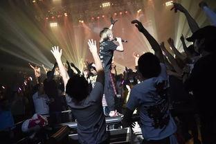 49日祭背景音乐,哀悼与缅怀的旋律之旅