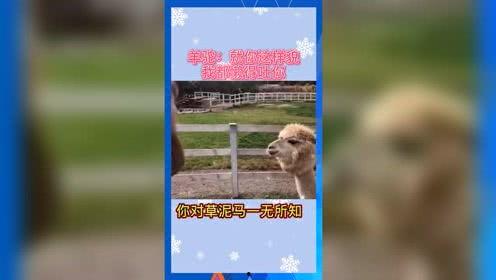 怎么屏蔽娱乐吃瓜,轻松远离无效信息干扰  第3张