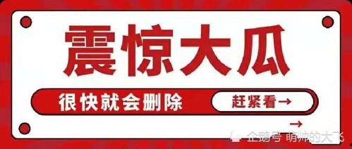 吃瓜娱乐百科大全免费阅读  第1张
