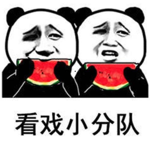 吃瓜表情包的含义,揭秘网络表情包背后的社会现象 第2张 吃瓜表情包的含义,揭秘网络表情包背后的社会现象 第2张
