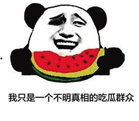 网络用语吃瓜子暗示着什么,网络用语“吃瓜子”的深层寓意 第1张 网络用语吃瓜子暗示着什么,网络用语“吃瓜子”的深层寓意 第1张